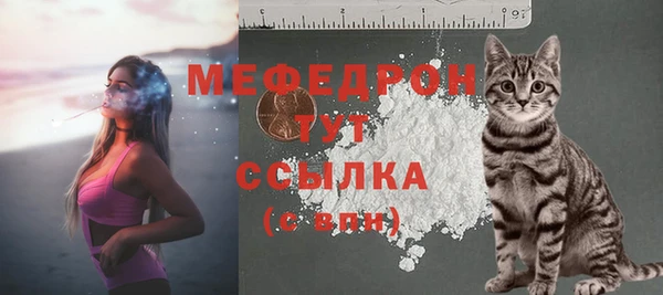 соль ск Богородск