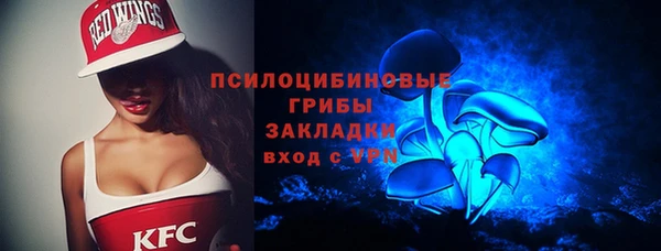 соль ск Богородск