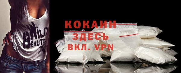 spice Богородицк