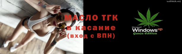 spice Богородицк