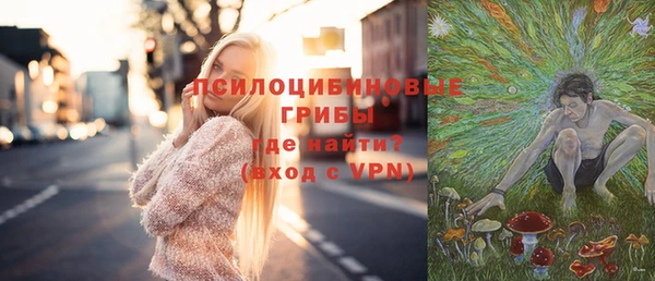 ешки Бугульма
