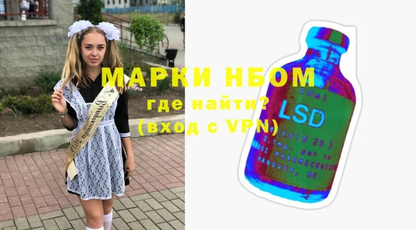spice Богородицк