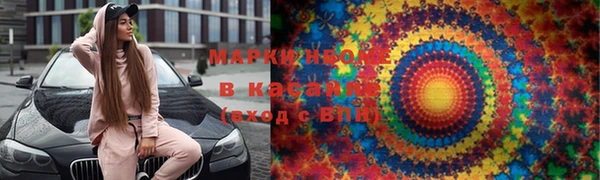 spice Богородицк